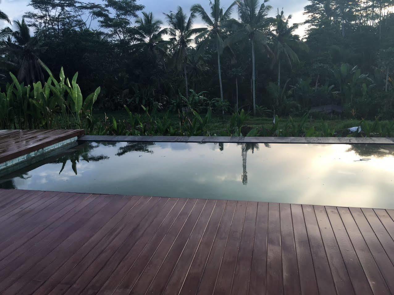 Villa Tegal Tis Ubud Payangan Kültér fotó